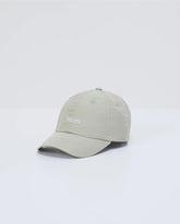 Elevate Dad Hat